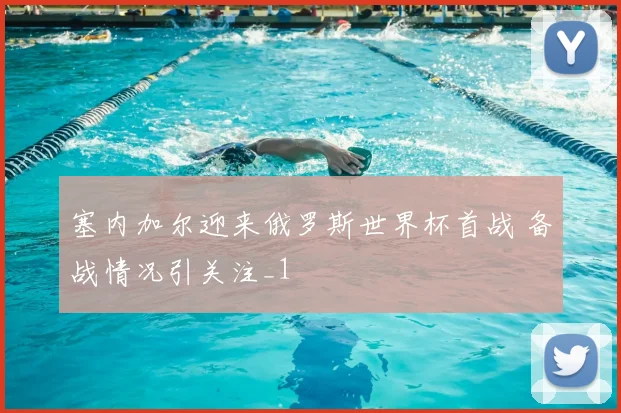 塞内加尔迎来俄罗斯世界杯首战 备战情况引关注_1