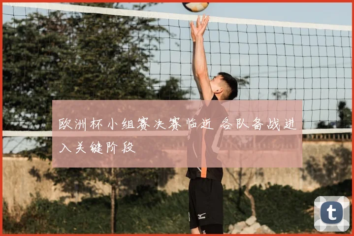 欧洲杯小组赛决赛临近 各队备战进入关键阶段