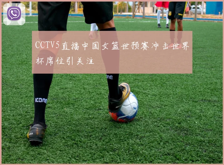 CCTV5直播中国女篮世预赛冲击世界杯席位引关注